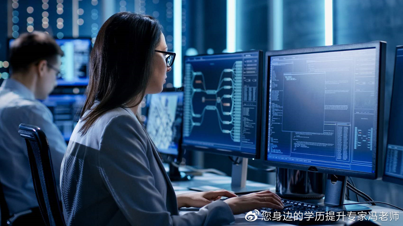 信息管理与信息系统 学士学位深造与网络技术开发职业路径