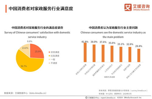 2024-2025年中国家政服务业发展及行业投资机遇分析 网络技术驱动的变革与信息咨询价值